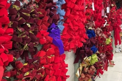 65826621047__70A924A2-BEEB-48A9-8809-F207A9A25DD7