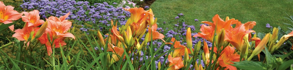 16 Acres Garden Center