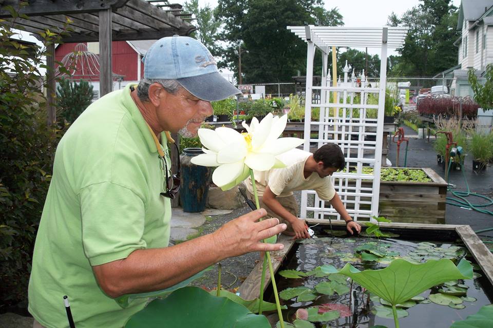 16 Acres Garden Center
