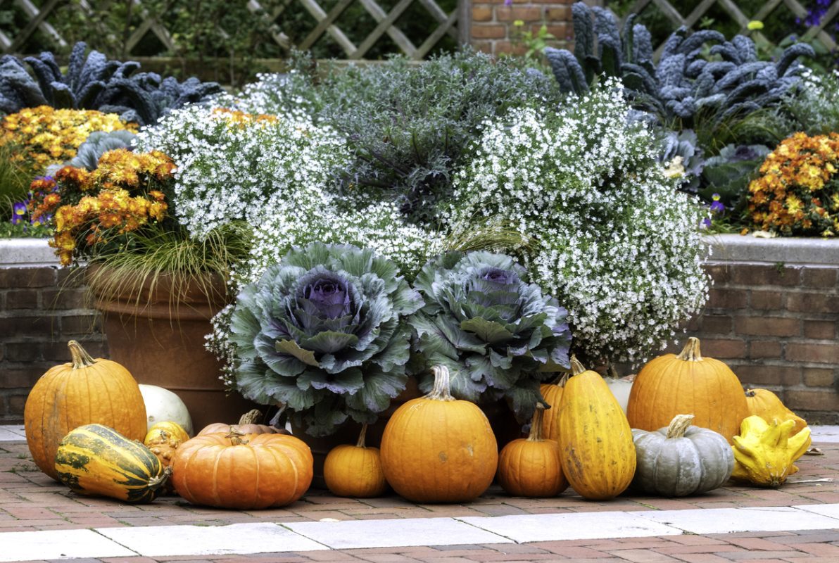 16 Acres Garden Center