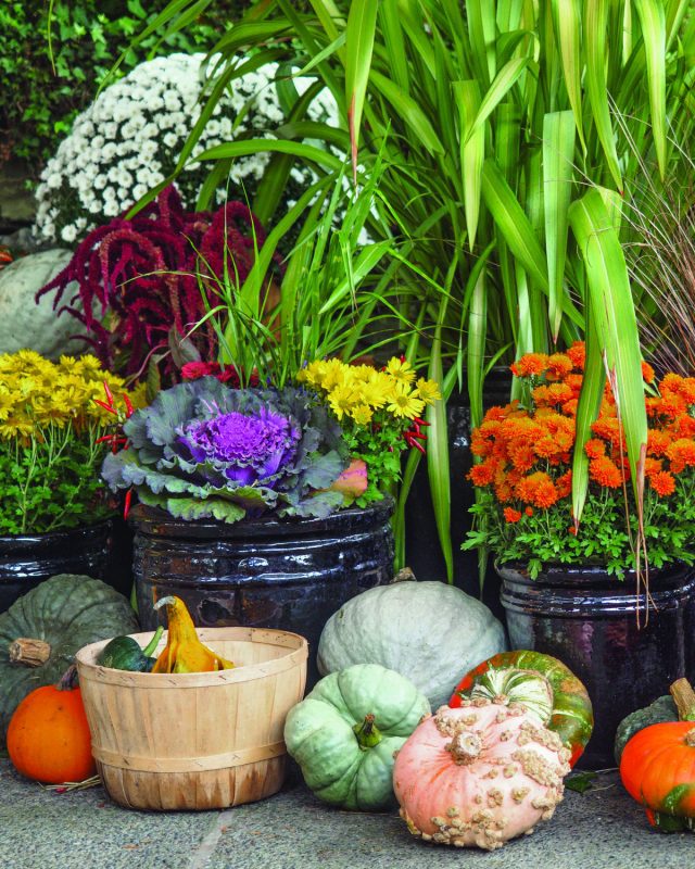 16 Acres Garden Center